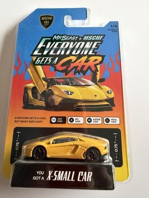 MSCHF X Mr Beast Collectible 1/64 Diecast Lamborghini Hot Wheels