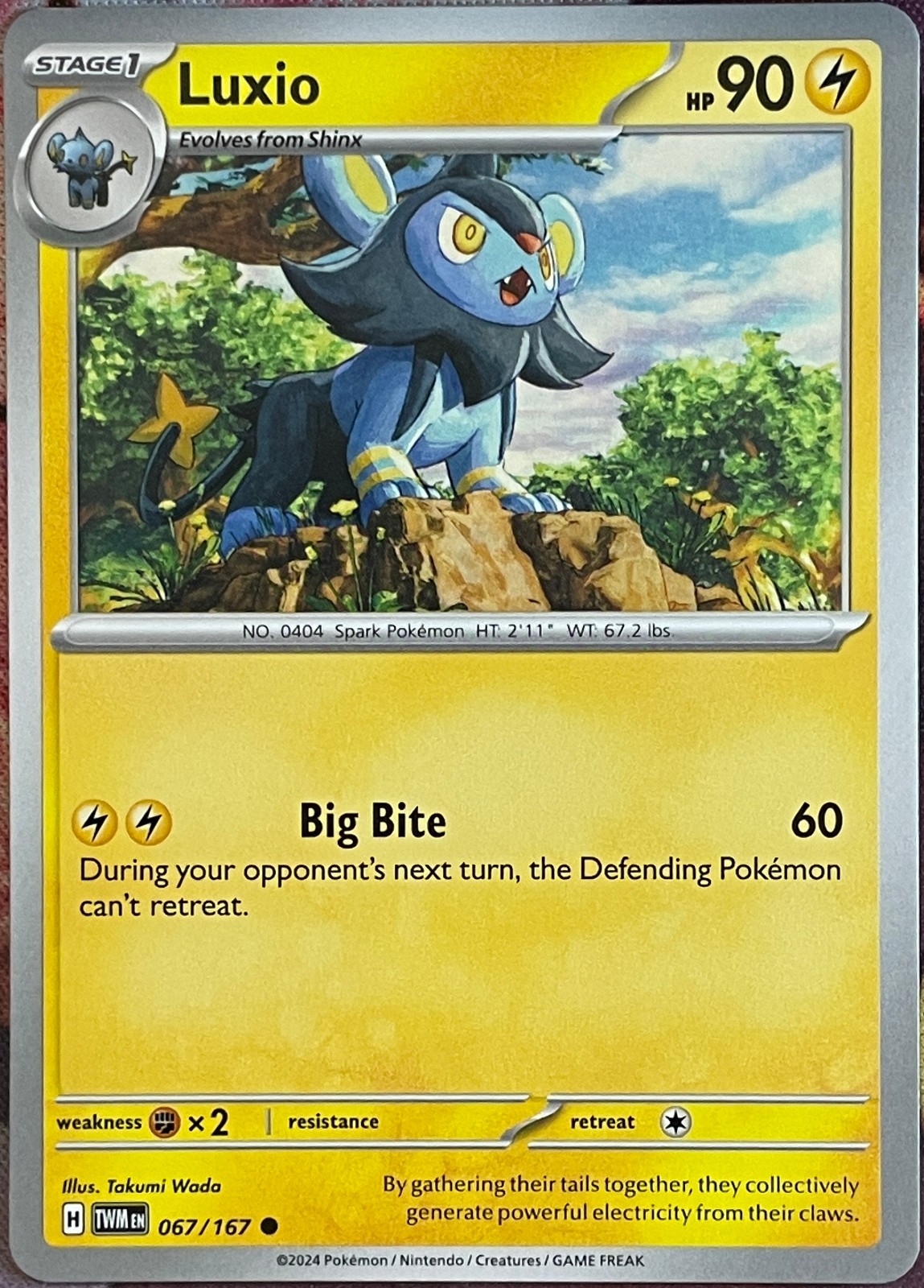 Luxio - 067/167 - Twilight Masquerade Pokemon 2024