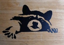 Raccoon Decal