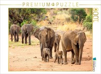 Calvendo Puzzle Elefanten | 1000 Teile Lege-GrößE 64X48Cm Foto-Puzzle FüR GlüCkl
