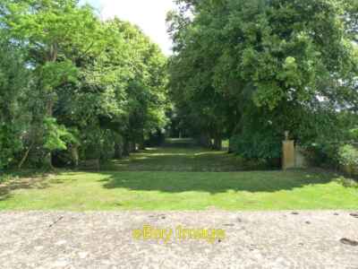 Photo 6x4 Tree lined avenue at Hidcote Manor Hidcote Bartrim The way from c2010