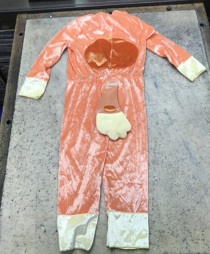 Bluey Bingo Classic Toddler Costume 3T-4T - 2 Piece Set - Halloween Cosplay Cute - Picture 10 of 15