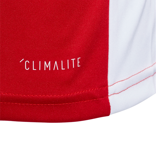 ADIDAS Camiseta Hombre/Niño Deporte Mod. Entrada 18 Jsy - Imagen 13 de 21