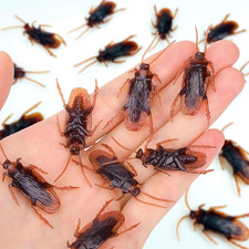 Premium Fake Cockroaches, Pretty Realistic Fake Roaches, Great Way to Play a Pra