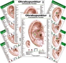 Ohrakupunktur -professional- Set XL - ( 76 Ka...