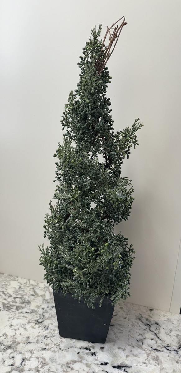 Christmas Tree Crate And Barrel | eBay