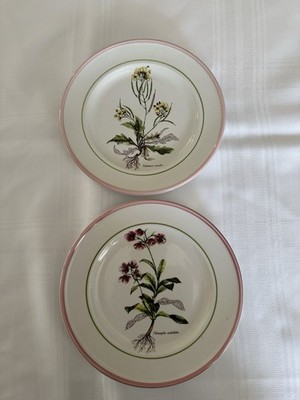 Vintage Collectible Botanical Design Plates By Primula Italy