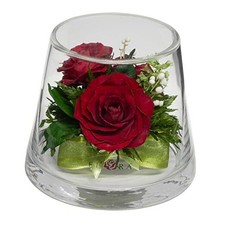 Fiora Flower  Long Lasting Real Roses in a Sealed Vase  Lasts up to 5 Ruby