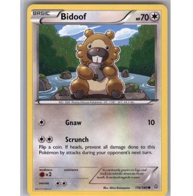 Bidoof 116/160 Common Primal Clash Pokemon Near Mint