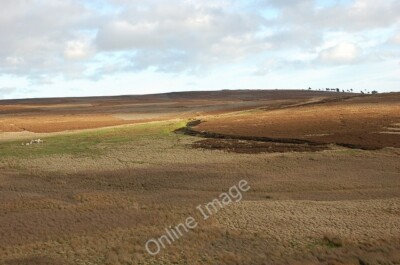 Foto 6x4 Moor und Heidemoor Polwarth vom Grünen Kaim Esker gesehen - um 2009