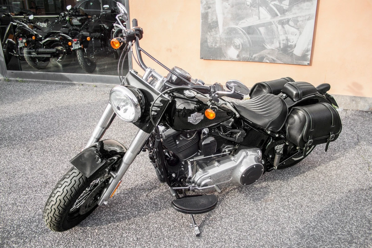 Details more than 88 hard bags for softail slim super hot in.cdgdbentre