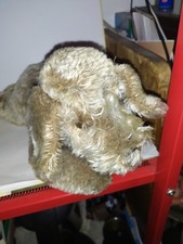 Alter Steiff- Hund-Floppy Raudi-ohne alles-28 cm