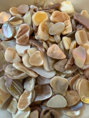 2oz natural shell mosaic tiles, Apprx 130pc. Natural pearl shell polished