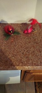 2 Vintage Bird Clip-on Glass Christmas Ornaments Germany Cardinal Red Glitter 6"
