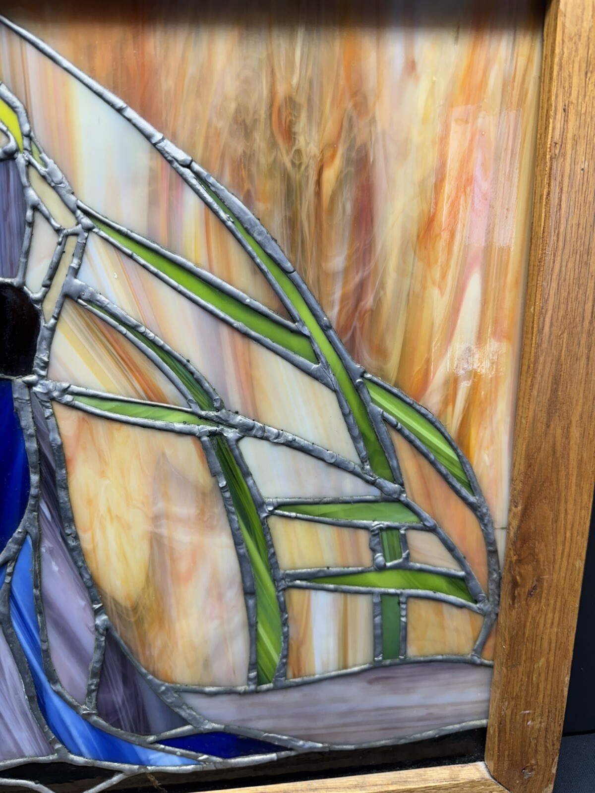 Picture 6 of 11