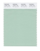 Pantone Smart 13-5911x Color Swatch Card, Bird's Egg Green, New, Free Shipping on sale Pantone Smart 13-5911x Color Swatch Card, Bird's Egg Green, New, Free Shipping on sale