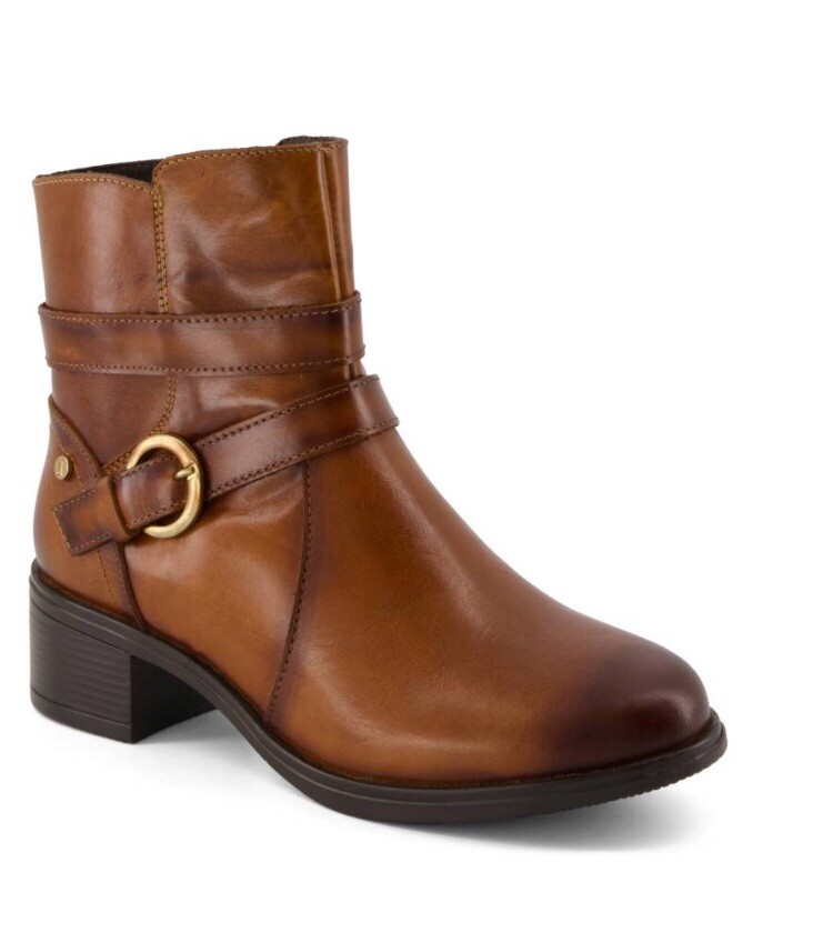 Zapatos Andrea 2022 CatÃ¡logo De Andrea Botas 2021 Botas Andrea