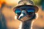 cool_emu