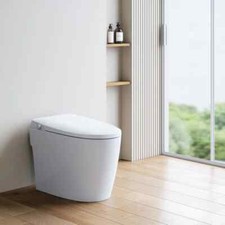 Non-electric Smart Bidet toilet with Dual Bidet Nozzles Cleanse Built-in Pump