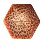 第 11 张/共 23 张