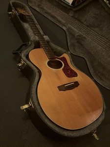 Guild T-50 | eBay