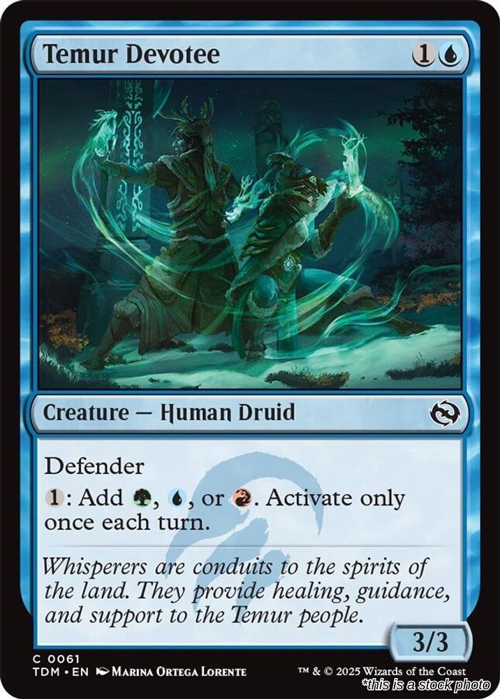 Temur Devotee TDM 61 MTG Tarkir: Dragonstorm Common EN NM