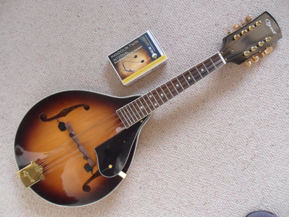 Ozark mandolin 2073 solid woods K&K pickups + gig bag - Image 2 of 4