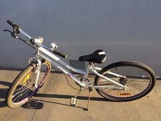 giant veer 24