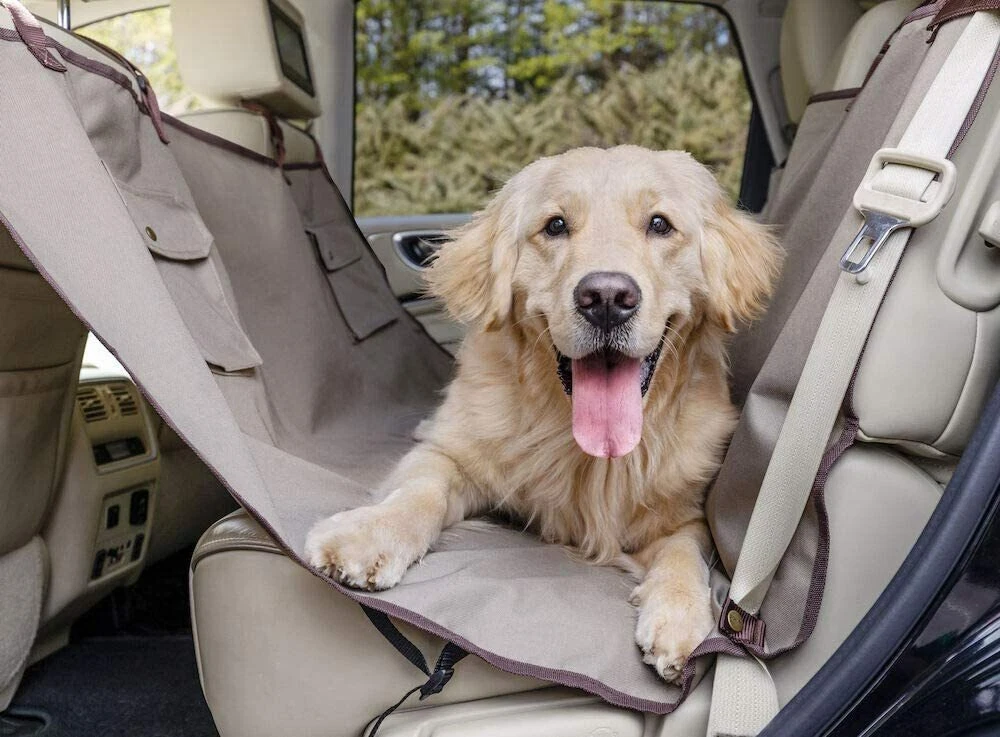 Petsafe solvit cheap car seat