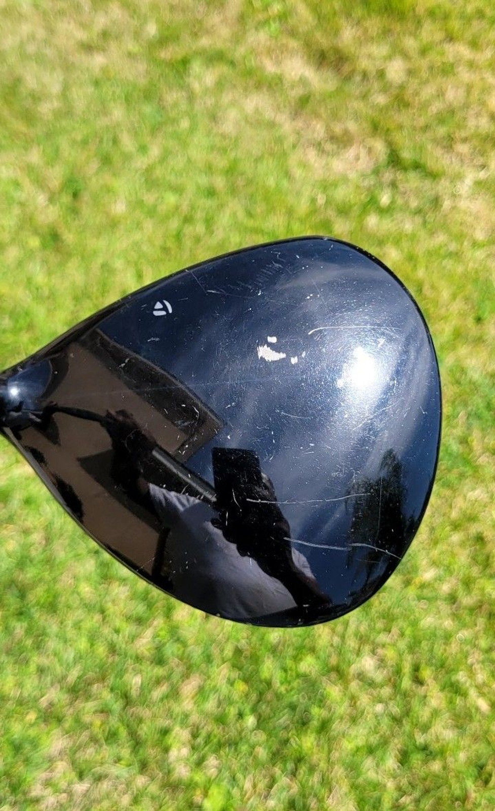 Picture 4 of 6