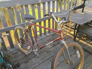 Schwinn Sidewinder | eBay