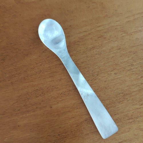 Crate & Barrel Mother of Pearl Small 5" Caviar Spoon NIB