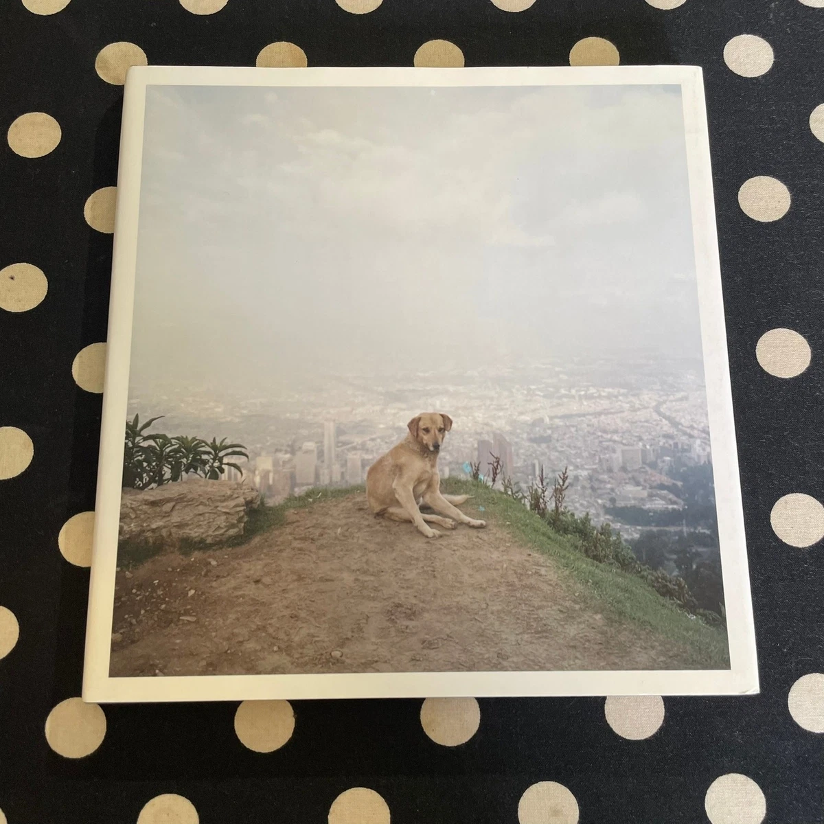 alec soth products for sale | eBay
