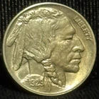 1929 D United States Buffalo Nickel 5C Coin