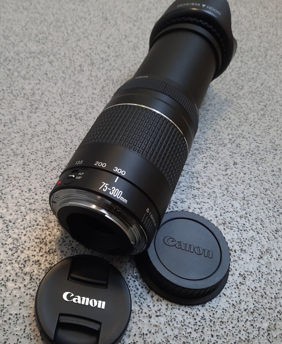 Canon望遠★EF 75-300㎜ Ⅲ CANON EF 75-300mm f/4-5.6 III: DSLR Camera Lens, Compatible