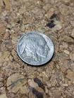 1937 Buffalo Nickel 5 Cents