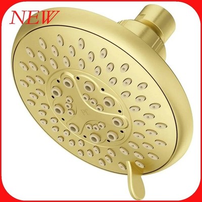 Pfister Pfirst Modern Multi Function Shower Head        R17