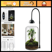 LED Glass Plant Terrarium with Adjustable Ventilation - 8.2" Indoor Planter for