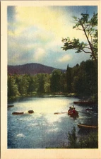 Southern Moonlight & the Pines Vintage Linen Postcard