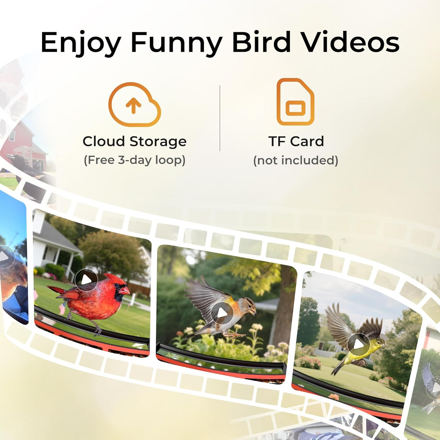 Smart Bird Feeder with Camera Solar Powered Squirrels-Proof, AI Identify Bird Sp