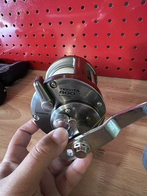 Shimano Tekota 800 Conventional Fishing Reel, 4 Ball Bearings