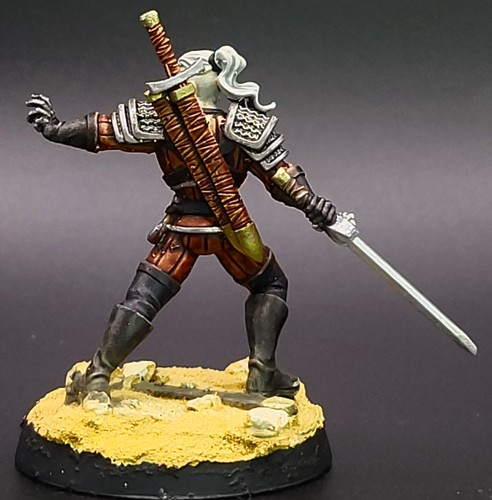 Painted Witcher characters D&D NPC collection miniatures for RPG - Picture 9 of 11