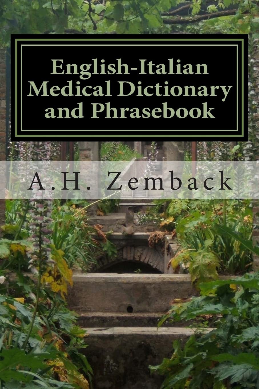 English-Italian Medical Dictionary and Phrasebook: Italian-English - Image 3