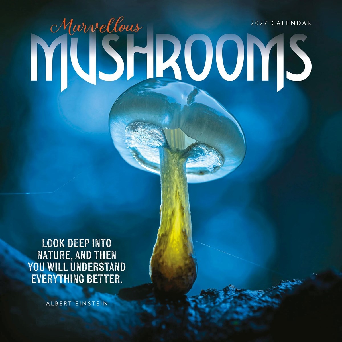 Marvellous Mushrooms Calendar 2027, Wall Calendars, Month To View, Gift