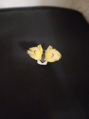 Vintage Schmetterling Half Doll zum Aufnähen