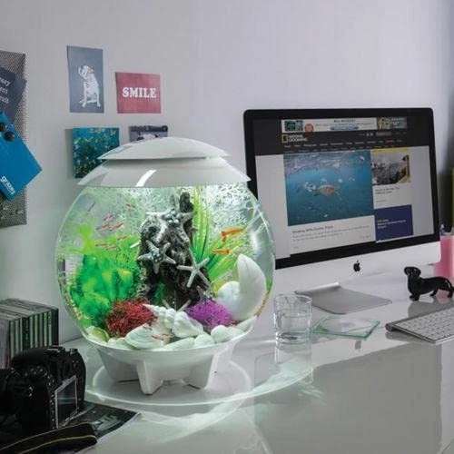 Halo 15 Acrylic 4-Gallon Aquarium with Multi-Color Remote-Controlled LED Ligh... - Image 2 of 4