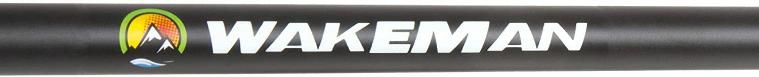 wakeman swarm series spinning rod and reel combo