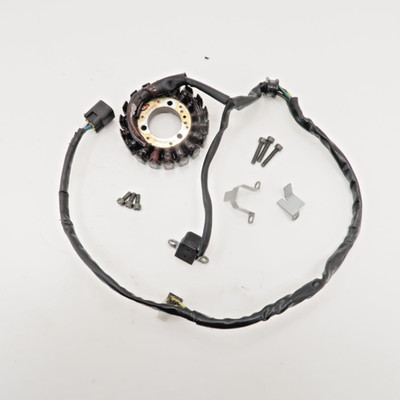 Suzuki DRZ400E - Stock Electrical Stator Magneto Coil - 2002 DRZ 400 OEM