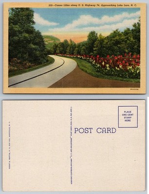 Canna Lilies US Hwy 74 Lake Lure NC Linen Postcard Vintage 1946 Curteich