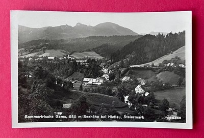 Photo postcard GAMS near Hieflau Styria around 1930 panorama town view (174313